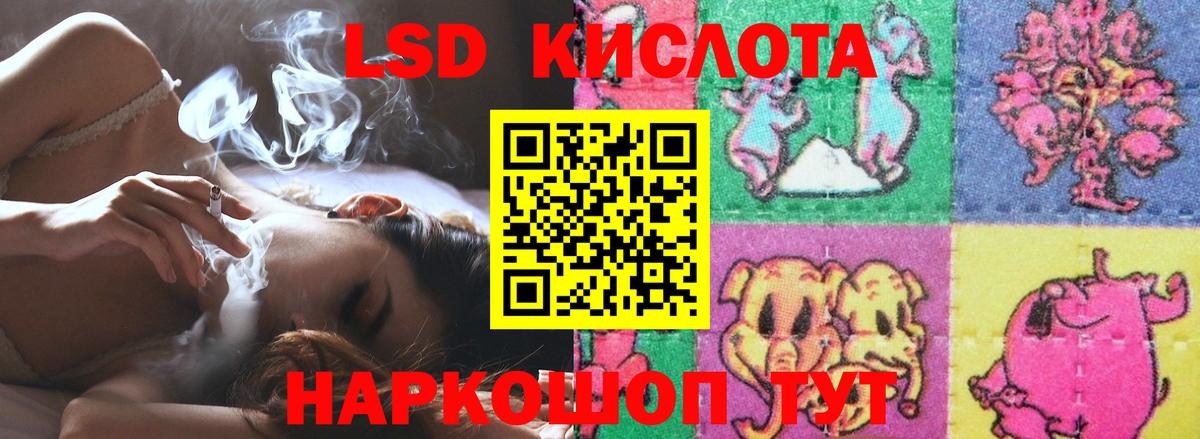 МЕГА ССЫЛКА  Вход с VPN  Камень-на-Оби  Лсд 25 экстази кислота  Лсд 25 экстази ecstasy 