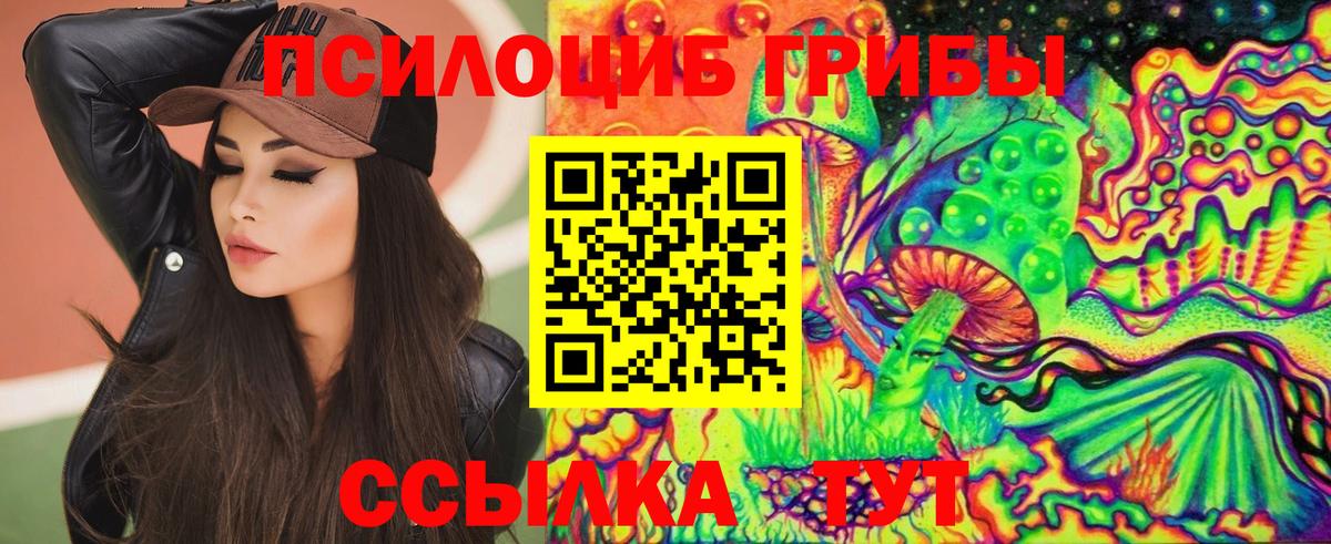 Галлюциногенные грибы мицелий  Вход с VPN  Камень-на-Оби  Псилоцибиновые грибы Cubensis 