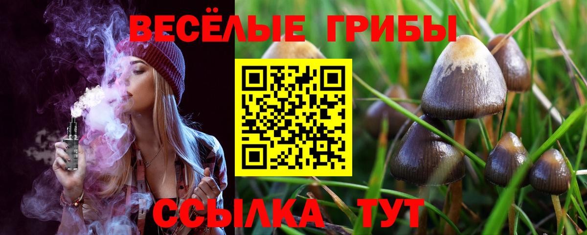 Псилоцибиновые грибы MAGIC MUSHROOMS Камень-на-Оби